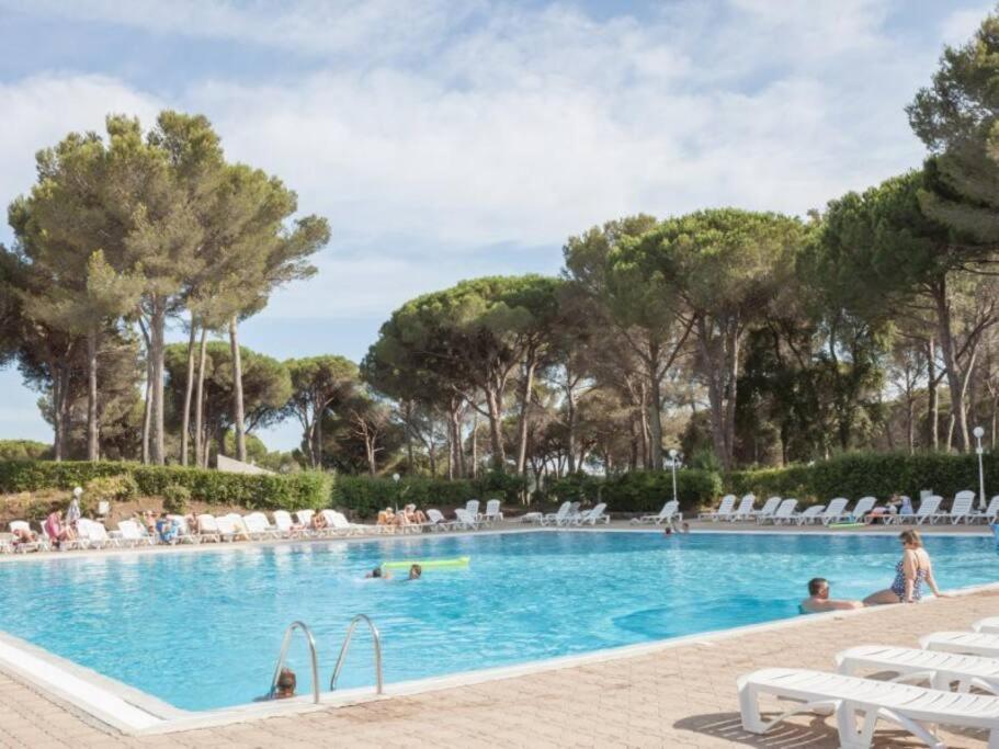 Bel Appartement Vue Sur Piscine 1 Chambre Fermee Et 1 Espace Cabine Saint-Raphaël Exterior foto